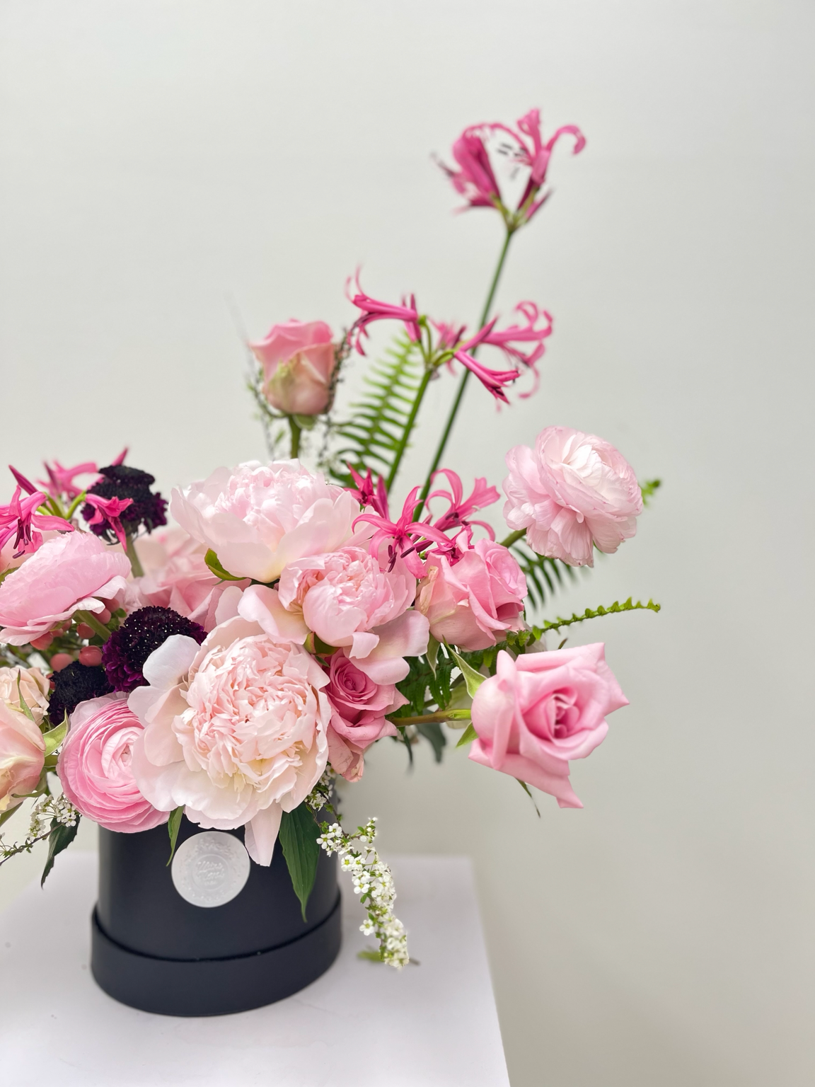Blush Movement  ( Premium M-Box )
