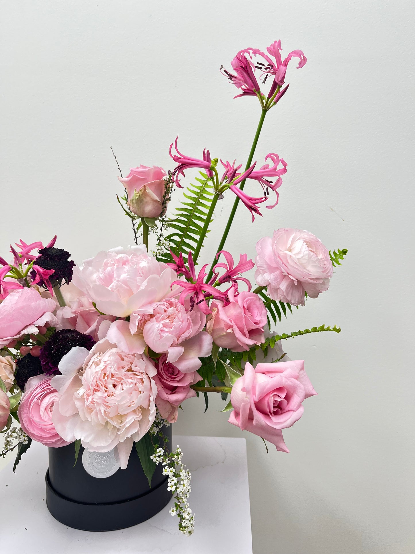 Blush Movement  ( Premium M-Box )