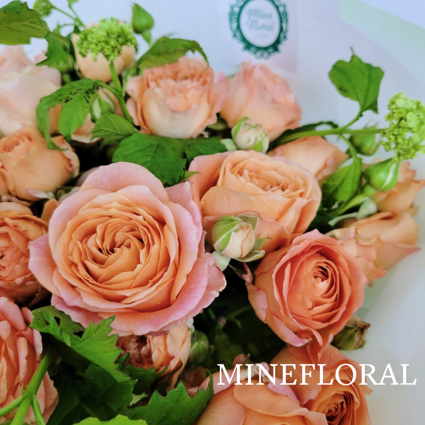 Monday Rose
